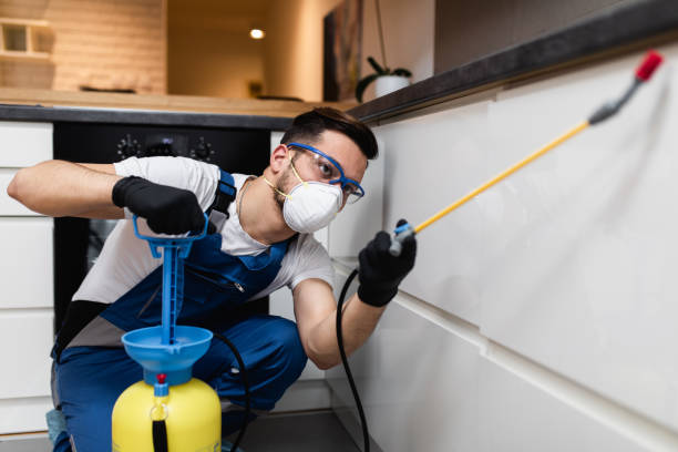 Best Exterminator Services  in Emporium, PA
