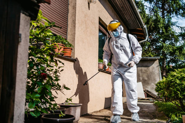 Best Mosquito Control Services  in Emporium, PA