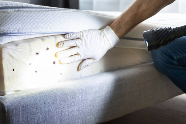 Best Affordable Pest Control Services  in Emporium, PA