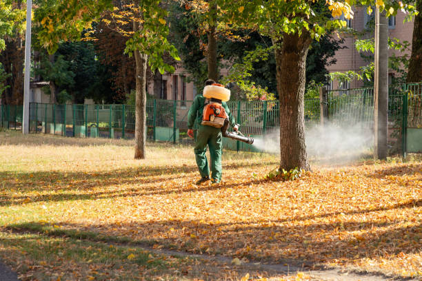 Pest Prevention Services in Emporium, PA